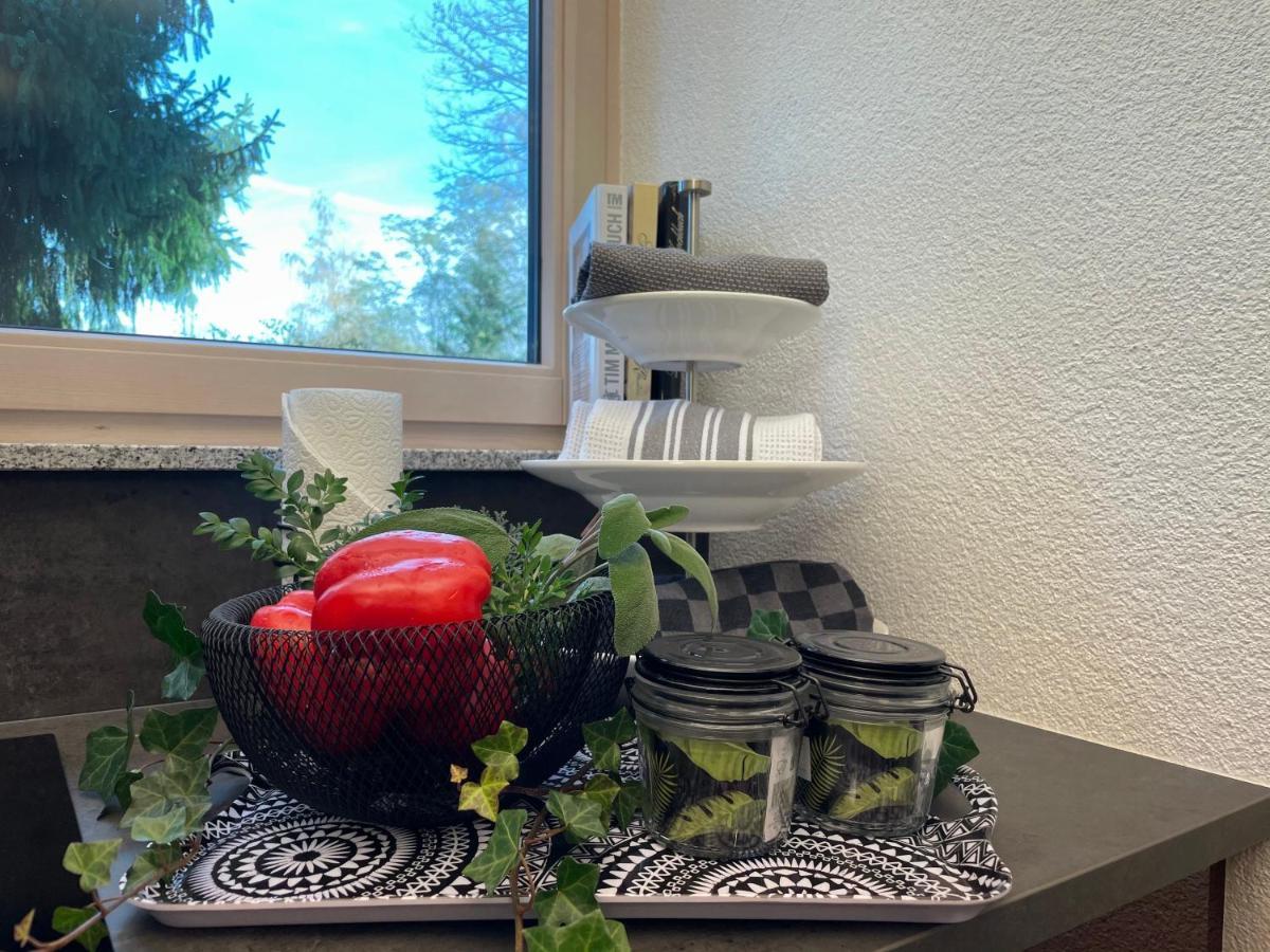 Limes Apartment -Uebernachten Am Limes- Rainau ภายนอก รูปภาพ